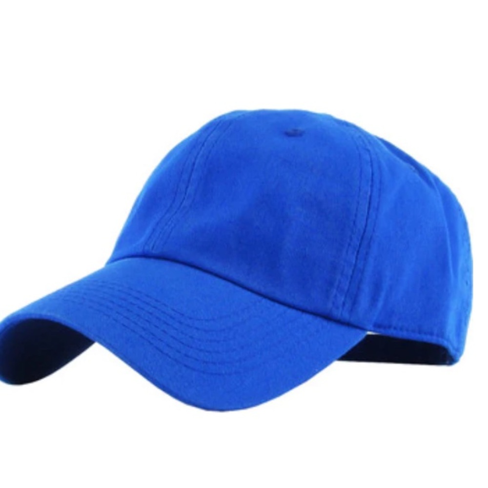 Royal Blue Baseball Hat BNWOT